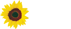 Sunflower Healthcare Logo
